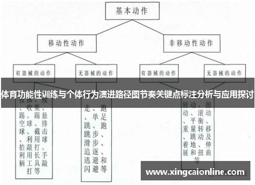 体育功能性训练与个体行为演进路径图节奏关键点标注分析与应用探讨